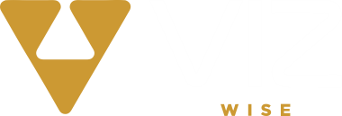 Viz Wise